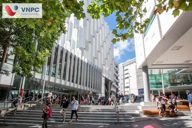 the university of auckland